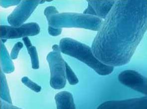 科学家发现人类肠道微生物所产基因毒素对DNA的破坏机制