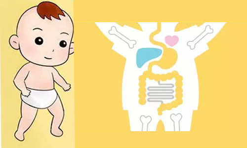 张和平等Microbiome：母乳源益生菌Probio-M8可通过哺乳经口腔/肠道-乳腺轴垂直传递到婴儿肠道