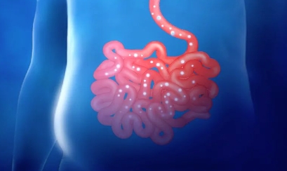 Science子刊：肠道菌群对肥胖及其改善的影响（综述）