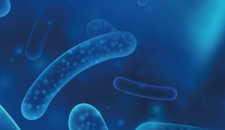 江南大学：乳酸菌缓解便秘的研究进展（综述）